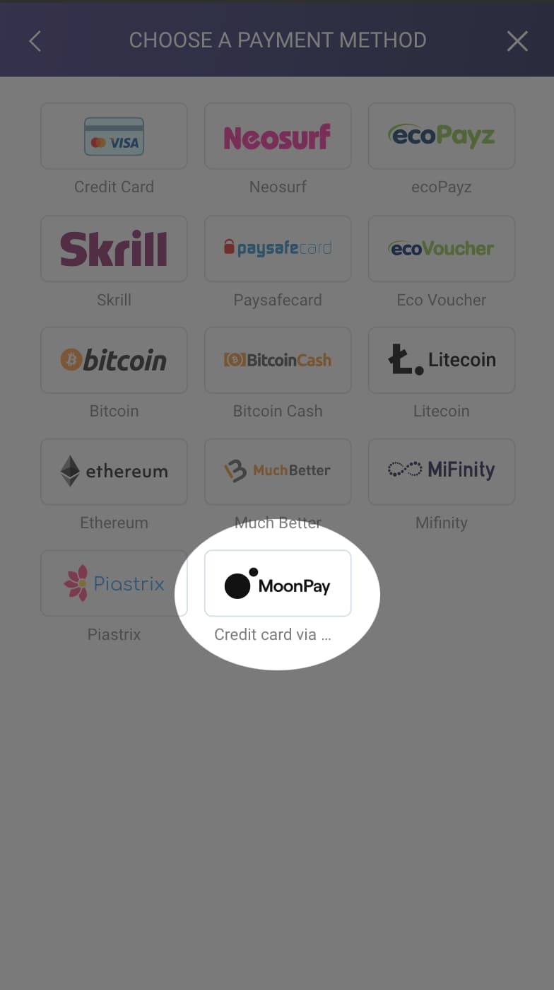 Choose Moonpay
